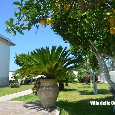 Ferienhaus Circeo - Vacanza San Felice Circeo