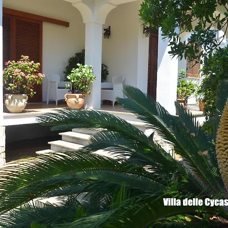 Ferienhaus Circeo - Vacanza