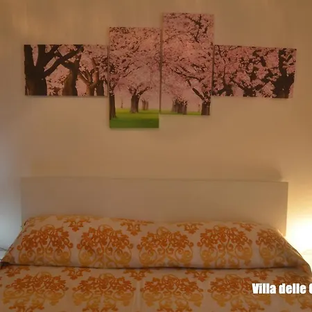 Circeo - Vacanza San Felice Circeo